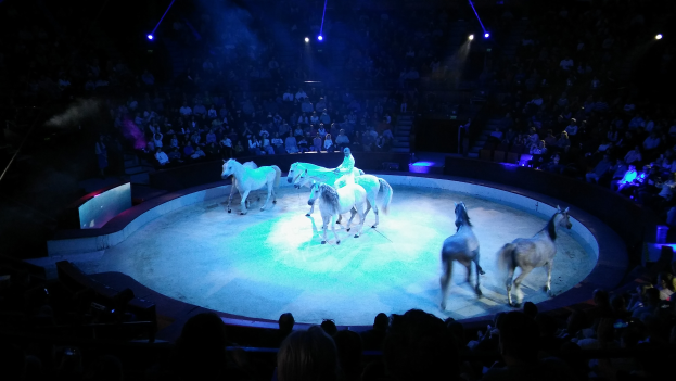 Eine Gruppe von Menschen reitet auf einer Bühne, beleuchtet von Scheinwerfern, während das Publikum von Sitzen zusieht.