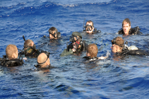 Eine Gruppe von Menschen in Tauchausrüstung, einschließlich Badeanzügen, Sauerstoffflaschen und Schwimmbrillen, die im Meer schwimmen und eine Aktivität ausführen.