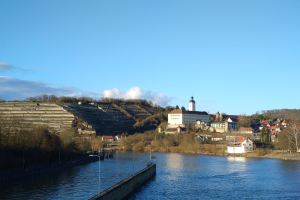 Eine malerische Aussicht auf den Rhein in Deutschland, mit einer Brücke, Laternen, Bäumen, Gebäuden entlang der Flussufer und einem Hügel im Hintergrund bei einem bewölkten Himmel.