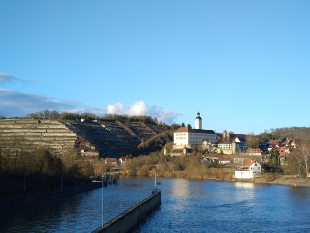 Eine malerische Aussicht auf den Rhein in Deutschland, mit einer Brücke, Laternen, Bäumen, Gebäuden entlang der Flussufer und einem Hügel im Hintergrund bei einem bewölkten Himmel.