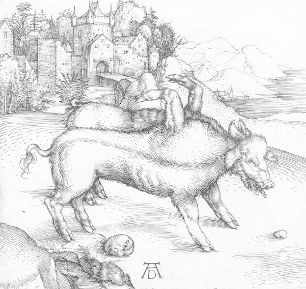 Ein Schwarz-Weiß-Zeichnung von zwei Schweinen auf einer Wiese mit einem Schloss, Bäumen, Hügeln und einem Gewässer im Hintergrund, betitelt mit "Albrecht Dürer - Die drei Eber".