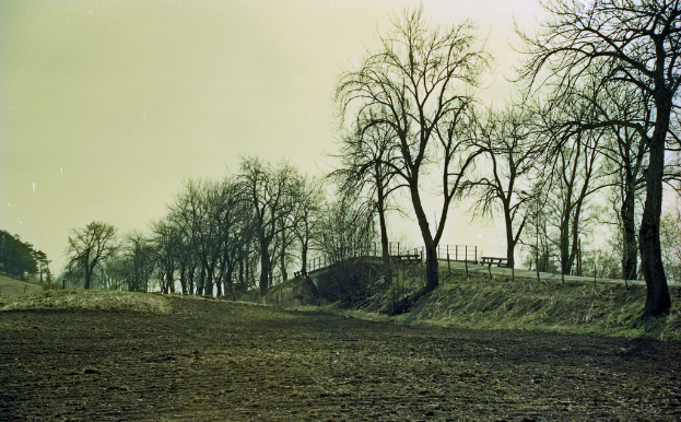 Eine sonnige LandschaftenSzene mit einem Feld im Vordergrund, Bäumen und einer Brücke in der Mitte, bearbeitetes Bild.