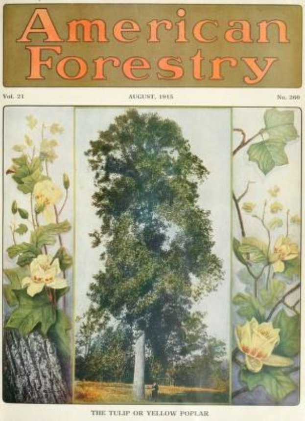 Titelbild der *American Forestry Magazine* aus August 1915, das illustrierte Bäume, Blumen und Laub zeigt.