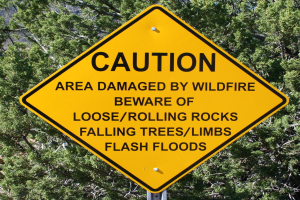 Gelbes Warnschild an einem Pfosten im Vordergrund, das vor Wildfire-Schäden, losen Steinen, umstürzenden Bäumen und Überschwemmungen warnt, mit Bäumen im Hintergrund.