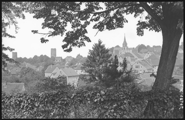 Ein Schwarz-Weiß-Foto einer Stadt mit hohen, grünen Bäumen im Vordergrund und Gebäuden im Hintergrund.