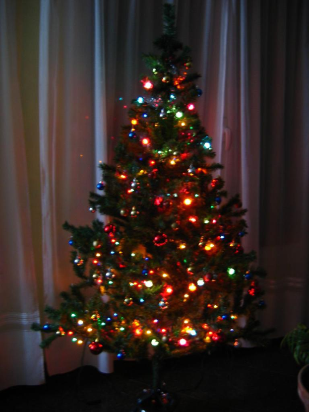 Ein mit Lichtern geschmückter Weihnachtsbaum steht vor einem Vorhang und einem Topfpalme.