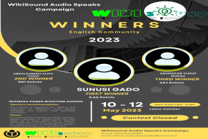 Buntes Plakat für die Wikisound Audio Spricht Kampagne mit blauem Hintergrund, das gelbe und weiße Schrift in Großbuchstaben zeigt "Gewinner" umgeben von lächelnden Fotos von Menschen, die die Kampagne feiern.