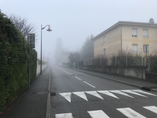 Eine Straße mit einem Zebrastreifen, Bäume auf der linken Seite, Gebäude auf der rechten Seite, ein nebliger Himmel und beleuchtete Straßenlaternen im Hintergrund.