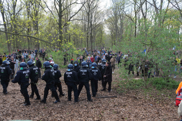 Eine Gruppe von Polizisten in Helmen steht in einem bewaldeten Gebiet mit Trees, Pflanzen und trockenen Blättern am Boden, mit dem Himmel im Hintergrund.