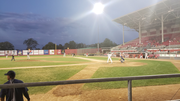 Jahn-Stadion: Stadtrats-Entscheidung stärkt Baseball-Club 'Sly Dogs'