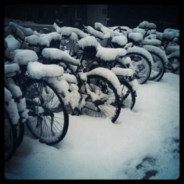 Mehrere Fahrräder stehen auf einem schneebedeckten Boden, auch die Fahrräder sind mit Schnee bedeckt.
