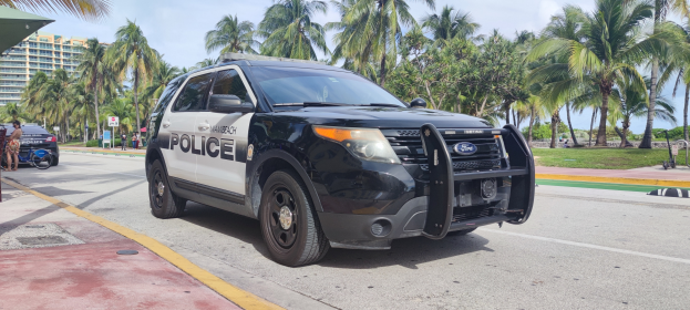 Ein Polizeiwagen steht am Straßenrand, umgeben von Menschen, Fahrrädern, Gras, Bäumen, Gebäuden und einem klaren blauen Himmel, mit einem sichtbaren Vorderrad.