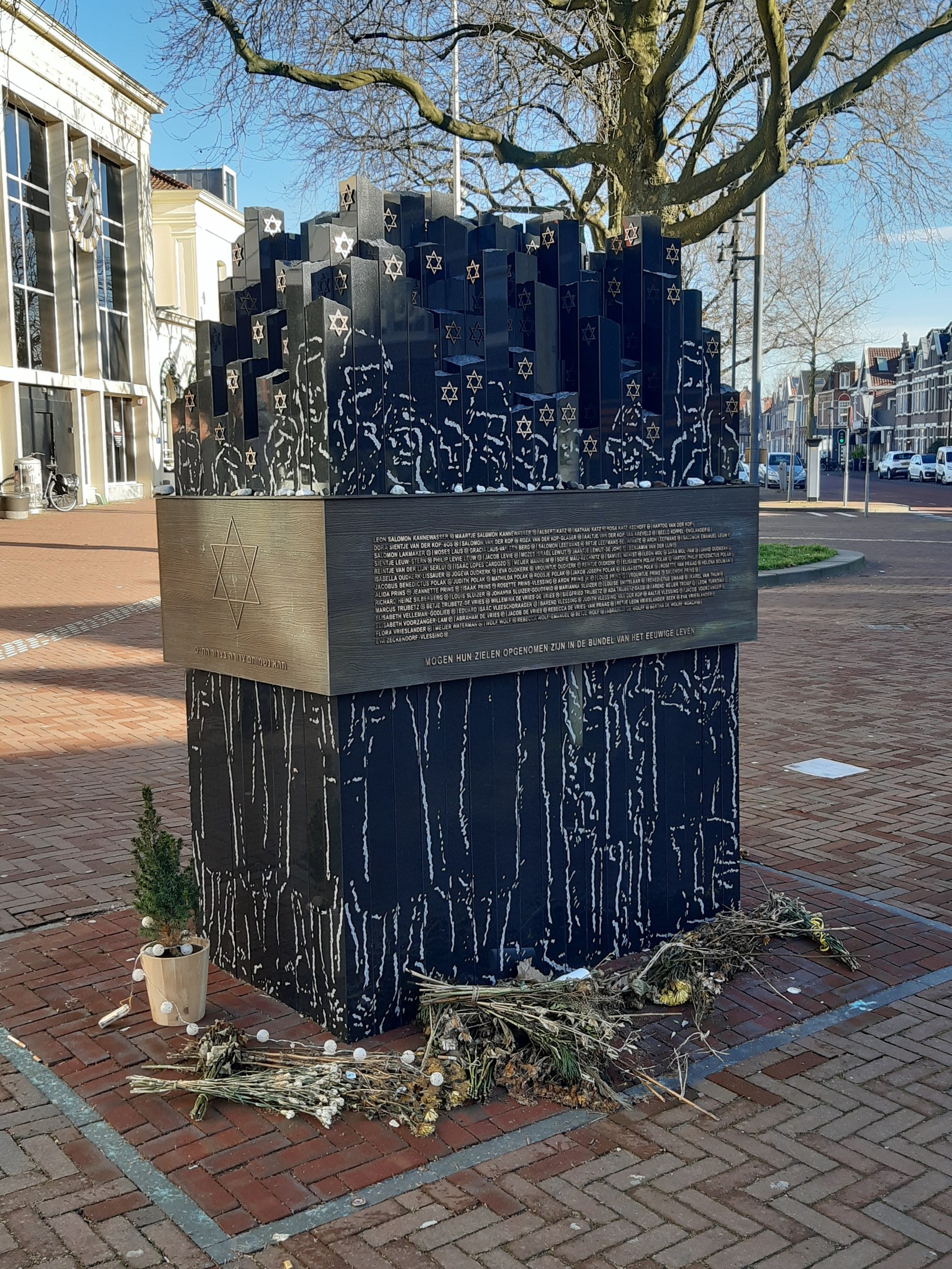 Denkmal in einem Stadtplatz gewidmet an Holocaust-Opfern, mit einem Baum davor, einem Topfgewächs auf dem Boden, verstreuten trockenen Blättern und im Hintergrund Gebäude, Fahrzeuge, Pfosten und Bäume.