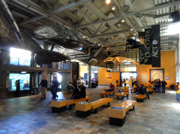 Ein großer Raum voller Menschen auf Bänken sitzend und stehend, mit hängenden Bannern, Deckenbeleuchtung, einem Bildschirm links und verschiedenen Objekten im Hintergrund, was auf eine Museumsatmosphäre hinweist.