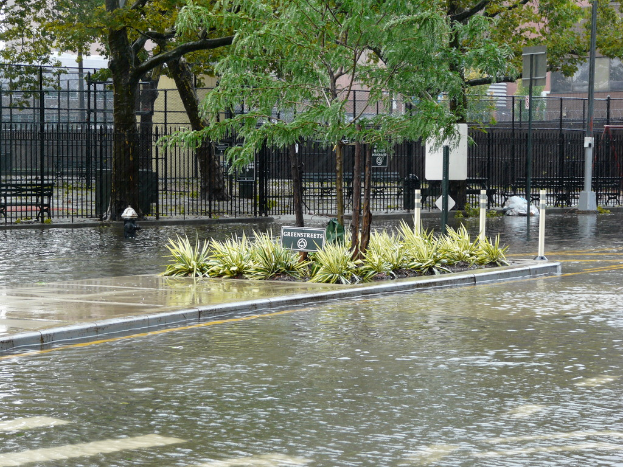 Eine überflutete Straße mit Pflanzen, Bäumen und einem Brett in der Mitte, umgeben von Wasser, mit einem Zaun, einem Gebäude und mehr Pflanzen im Hintergrund.