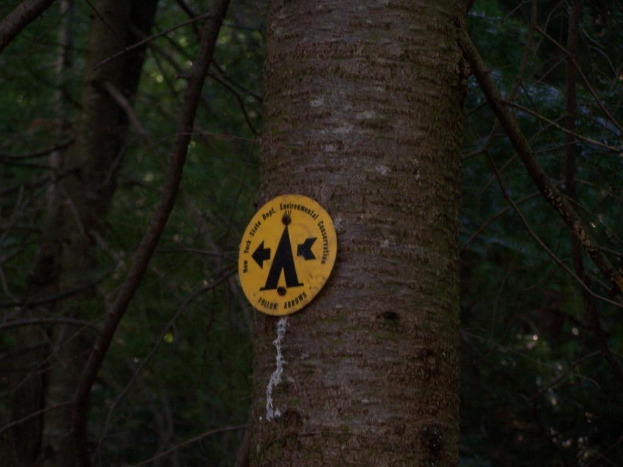 Ein Baum mit einer Warnschild, umgeben von dichtem Wald.