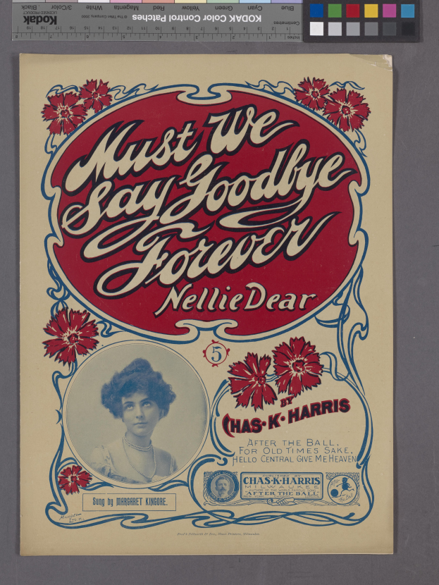 Ein Plakat mit einer Person in einem weißen Kleid mit einer blauen Stola vor einem hellblauen Hintergrund mit weißen Sternen und der schwarzen Schrift "Müssen wir uns für immer verabschieden" von Nellie Dear.