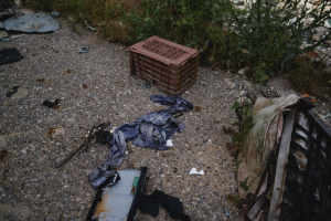 Müllhaufen einschließlich eines Plastikbehälters und Kleidung neben einer Straße, mit Vegetation im Hintergrund.