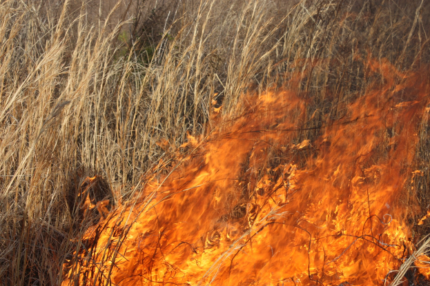 Verschreibungspflichtige Feuer in einem Feld mit hohem Gras, das in Flammen steht und Rauch in den Himmel aufsteigt.