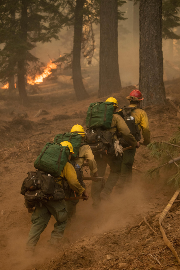 Eine Gruppe von Feuerwehrleuten in Helmen und Rürcksack geht durch einen Wald, mit einem Feuer in der Ferne.